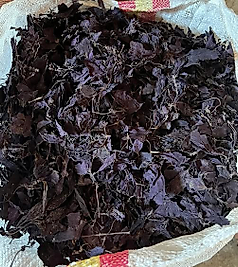 Fırsat Kapısı MOR REYHAN 150 GR