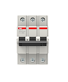 ABB 3*63A 3 KA C EĞRİSİ SİGORTA 2CDS633031R0634