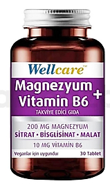 Wellcare Magnezyum + Vitamin B6 30 Tablet