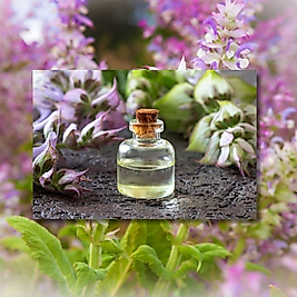 %100 Misk Adaçayı Yağı  (Clary sage)  Salvia Sclarea  Seyreltilmemiştir ve Esans İçermez!