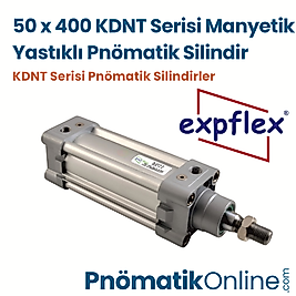 Expflex KDNT 50x400 Manyetik Yastıklı Pnömatik Silindir