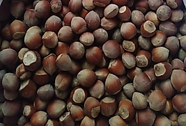 500 Gr Bitlis Hizan Fındığı – Doğal ve Taze Lezzet