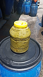Manisa Sultaniye 2x5 kg (10 kg.) Salamura Asma Yaprağı  – İnce Damarsız, El İşi Seçme Yaprak