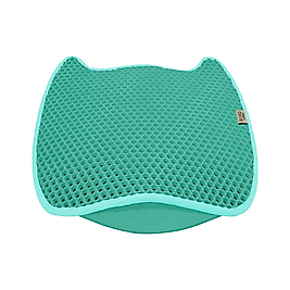 Cattie Fonksiyonel Yeşil Kedi Tuvalet Paspası 50 x 50 cm