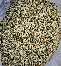 Fırsat Kapısı PAPATYA 100 GR