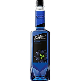 DaVinci Gourmet Blueberry Aromalı Şurup 75 CL