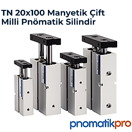 TN 20x100 Çift Milli Manyetik Pnömatik Silindir