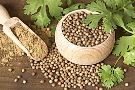 Fırsat Kapısı KİŞNİŞ 150 GR