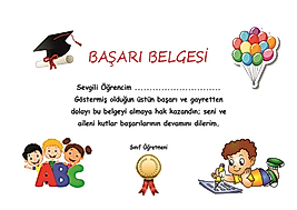 BAŞARI BELGESİ