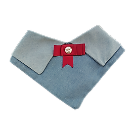 İnci Şıklığı / Pearl Grace – FEDD’s Pet Style