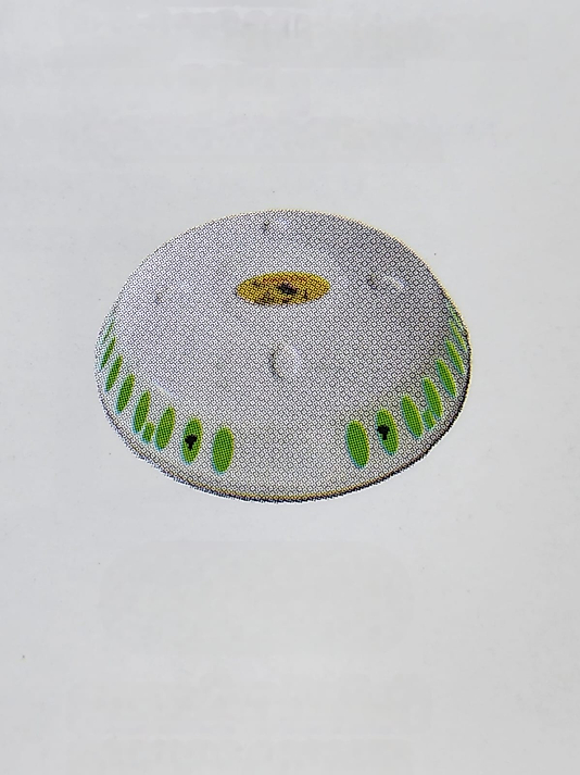 SİNEK ÖLDÜRÜCÜ DUVARA MONTELİ ( KDV DAHİL )