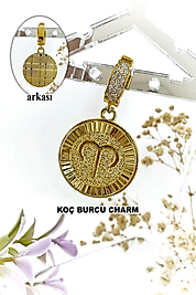 Koç Burcu Zirkon Taşlı Çelik Charm