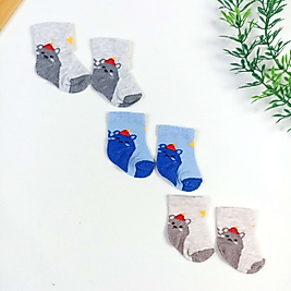 3 Parça Yeni Doğan Çorap Seti - Bear