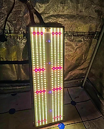 250W Samsung EVO Quantum Board Full Spectrum Bitki Yetiştirme Lambası - Samsung LM301H EVO, Osram Red, IR & LG UV