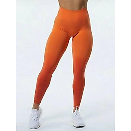 Alphalete Dikişsiz Toparlayıcı Yüksek Bel Büzgülü Ombre Spor Tayt