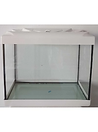 30 cm Renkli Kapak Akvaryum 30 x 13x 26cm