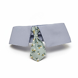 Bahar Beyefendisi 2 – Mavi Çiçekli Kravatlı Pet Yaka | FEDD’s Pet Style