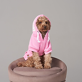 Magnet Pembe Köpek Sweatshirt Kapüşonlu küçük ırklar için Kk-124