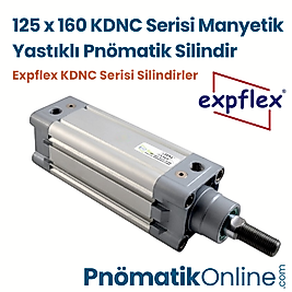Expflex KDNC 125x160-S Manyetik Yastıklı Pnömatik Silindir