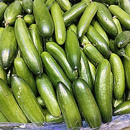 ÇITIR SALATALIK