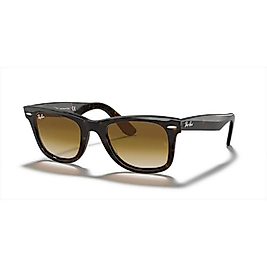 Rb  2140 902/51 50-22 Unisex Güneş Gözlüğü Wayfarer