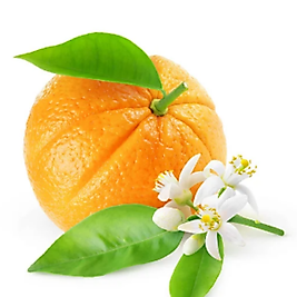 %100 Neroli Portakal Çiçeği Yağı ( Citrus Aurantium) Seyretilmemiştir ve Esans İçermez!