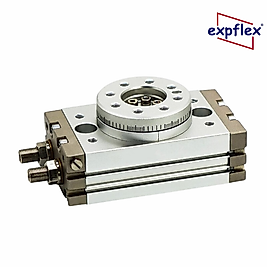 Expflex MSQB | Manyetik Rotary Pnömatik Silindir