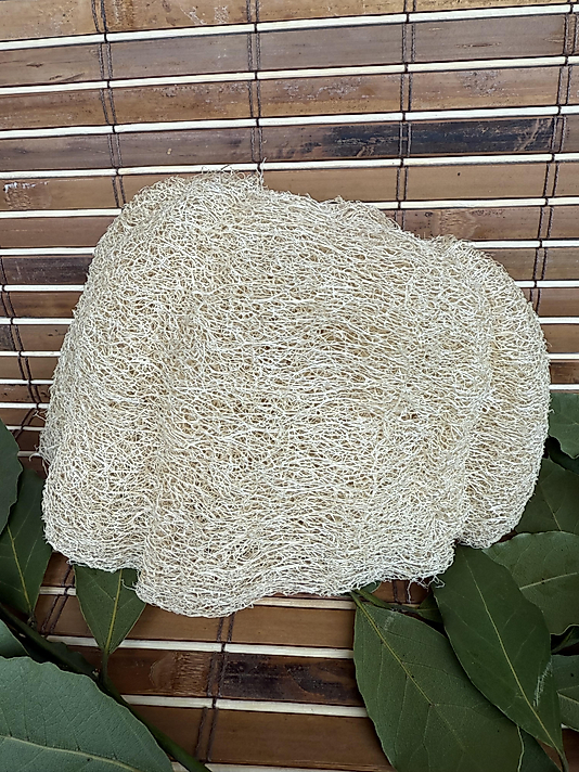 Kabak lifi