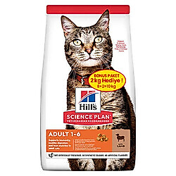 Hill's Lamb Kuzulu Yetişkin Kedi Maması 8+2 Kg (Toplam 10 Kg)