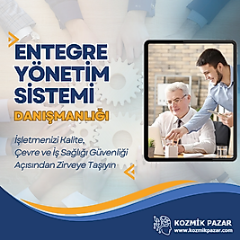 Entegre Yönetim Sistemi Danışmanlığı