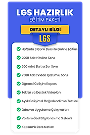 LGS HAZIRLIK ve OKUL TAKVİYESİ