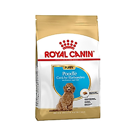 Royal Canin Poodle Yavru Köpek Maması 3 kg
