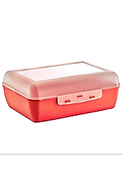 1.5 Litre Tek Bölmeli Plastik Beslenme Kabı | 19x14 cm