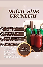 Sidr şampuan