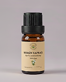 MERSİN (Myrtus communis)