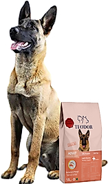 TEODOR ADULT YÜKSEK ENERJİLİ SOMONLU VE PİRİNÇLİ %28 PROTEİN YETİŞKİN KÖPEK MAMASI 15KG