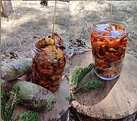 Mezda Kozalaklı Süzme Bal 1kg