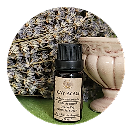 Çay Ağacı (Melaleuca alternifolia) Esansiyel Uçucu Yağ, Aromaterapi Yağı, Buhurdan Yağı, Difüzör Yağı (su-buhar distilasyonu)