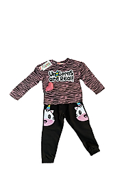 Denokids Unicorn baskılı Zebra desen ve Pembe renklerde uzun Kollu shirt Takım