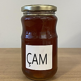 Çam Balı 500 GR