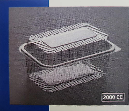 Plastik Kapaklı Ambalaj 2000 CC