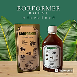 BORFORMER