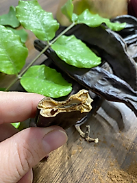 Keçiboynuzu Meyvesi 500Gr