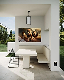 Aslan Cam Tablo