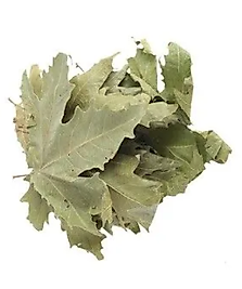 Fırsat Kapısı ÇINAR YAPRAĞI 150 GR