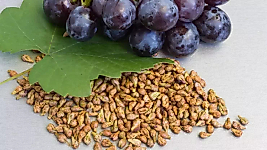 Fırsat Kapısı ÜZÜM ÇEKİRDEĞİ 150 GR
