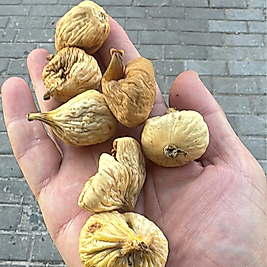 Dal kurusu  İNCİR Orta boy (Yeni sezon) 1 kg