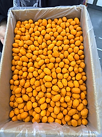 SOSLU FISTIK (KUTU=5 KG)