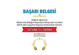 BAŞARI BELGESİ