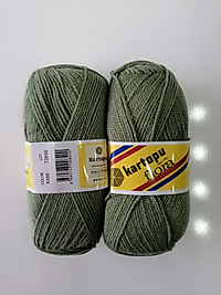 Kartopu patik ipi